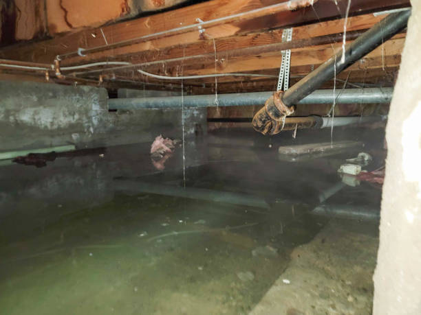 Water damage restoration experts in SD