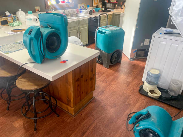 Best Water damage repair service  in Volga, SD