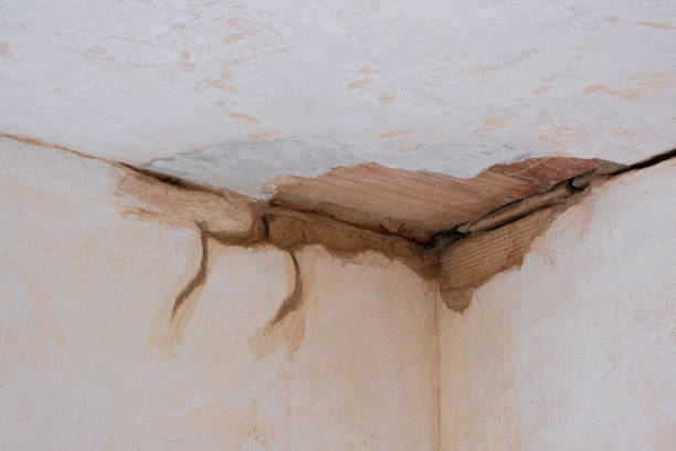 Best Sewage cleanup and water damage restoration  in Volga, SD