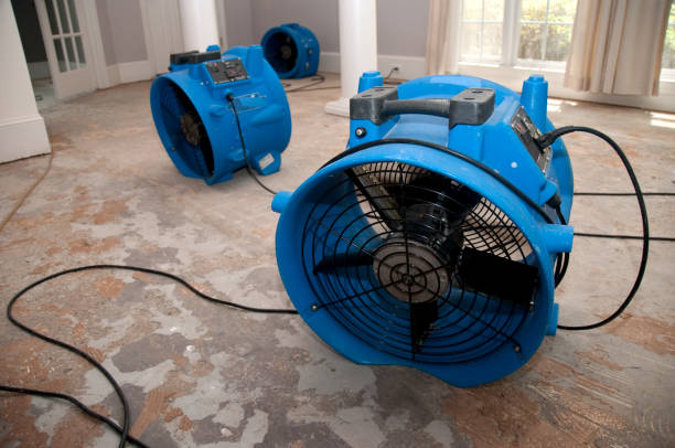 Best Emergency water damage restoration  in Volga, SD