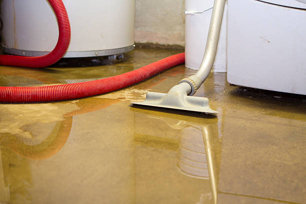 Best 24/7 water damage repair  in Volga, SD