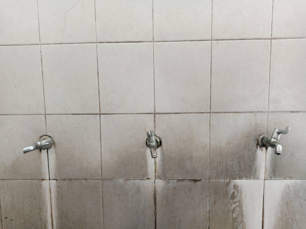 Best 24-hour water damage restoration  in Volga, SD