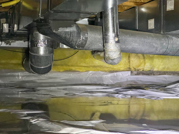 Best Carpet water damage restoration  in Volga, SD