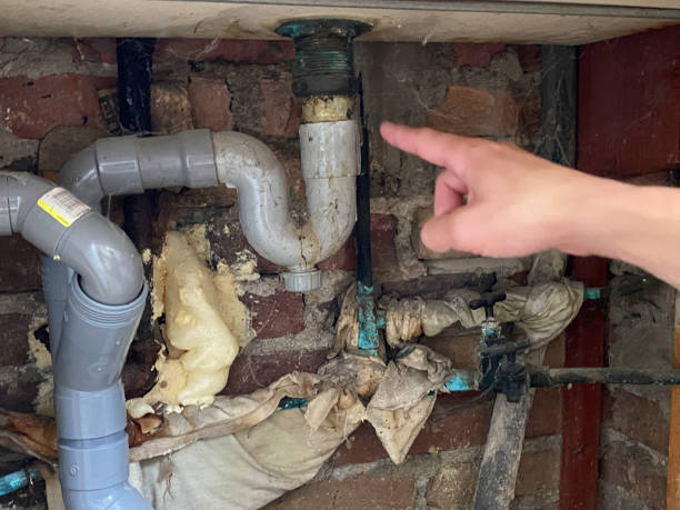 Best Sewage cleanup and water damage restoration  in Volga, SD