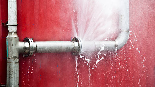 Best Mold removal after water damage  in Volga, SD
