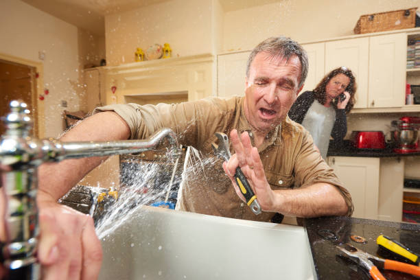 Best Flooded house restoration  in Volga, SD